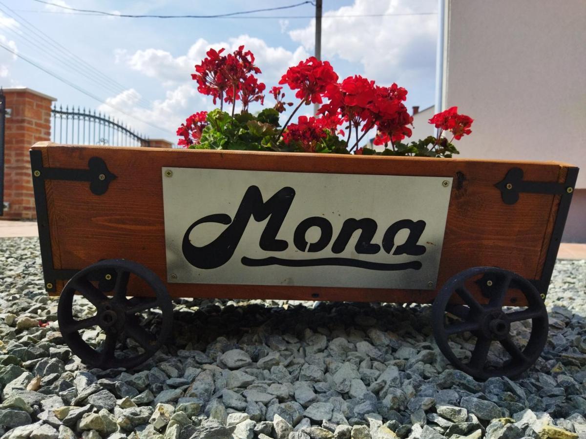 Apartment Mona *