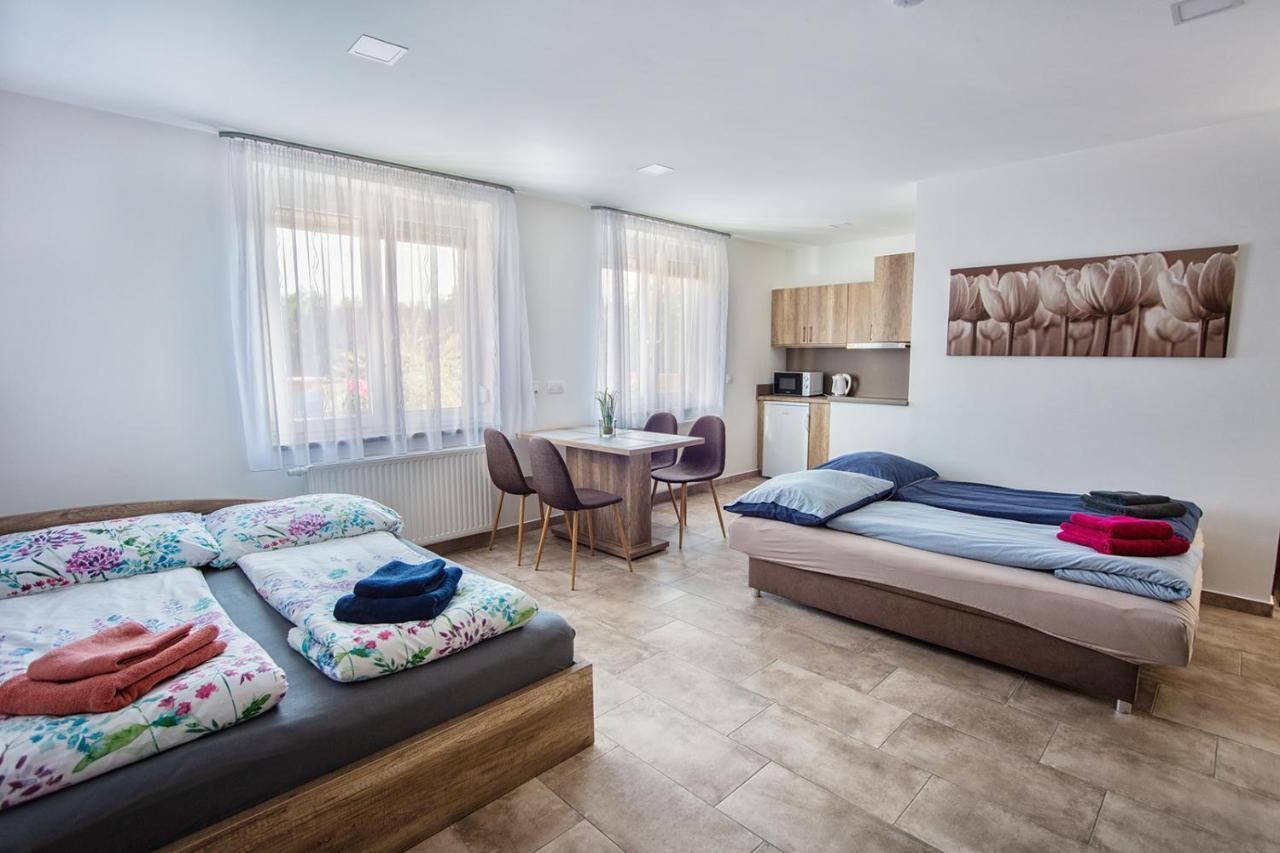 Mona Apartment Sarvar